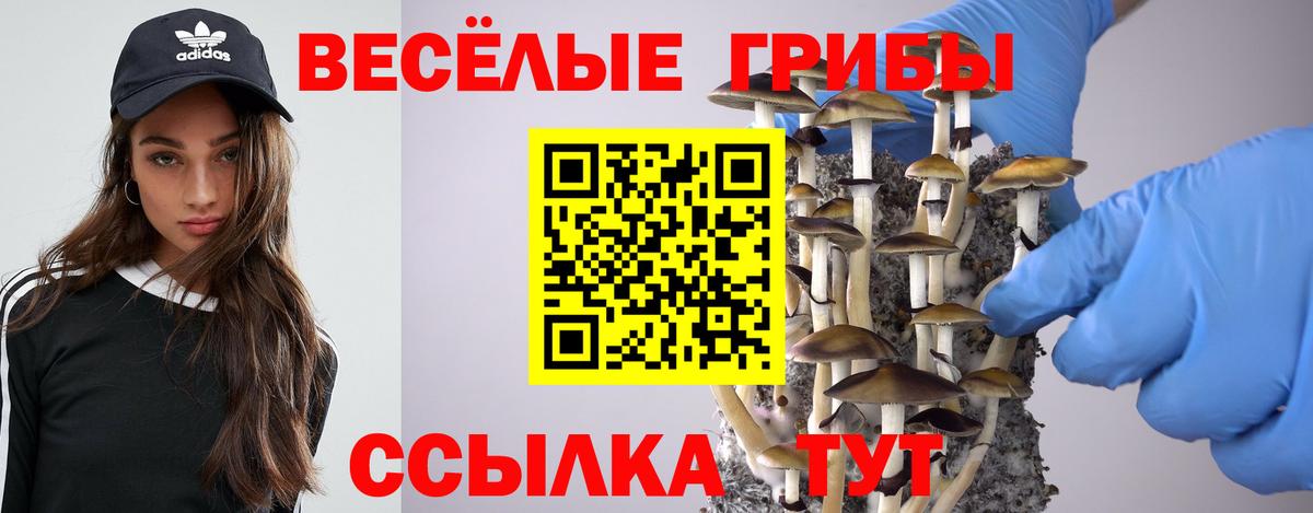 Кропоткин  Псилоцибиновые грибы GOLDEN TEACHER  Вход с VPN 